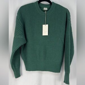 A New Day Chunky  Green Pullover Sweater New With Tags Size Small